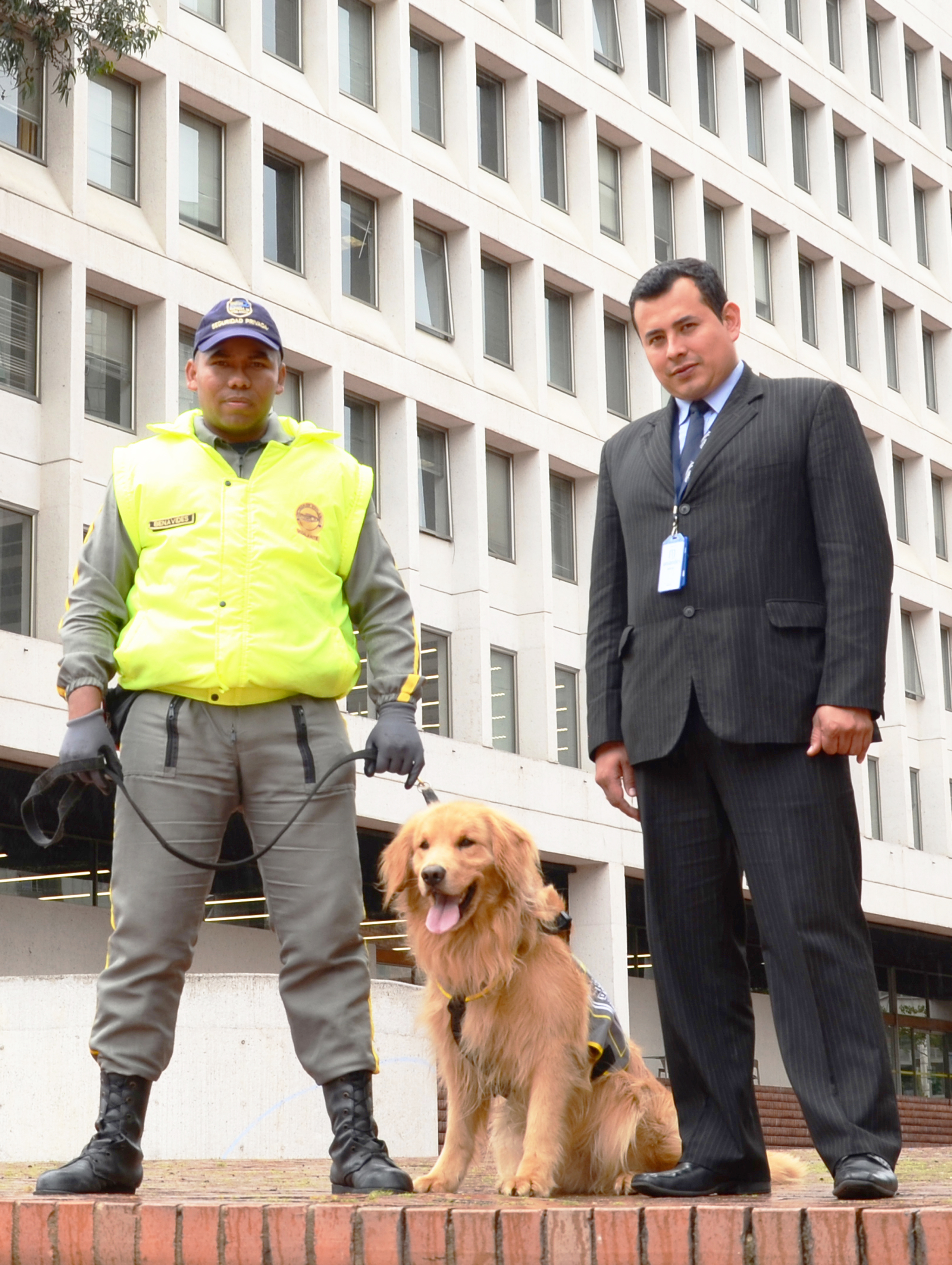 Supervisor-vigilancia-canina